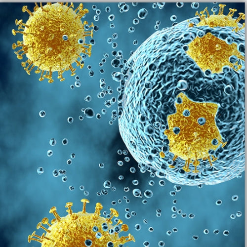 Infectious Disease