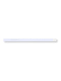 SAFElife™  Alcohol Saliva Test Strips 25/bx