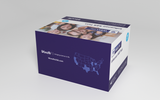 WELLlife™ Influenza A&B Test (510K) - 25/box